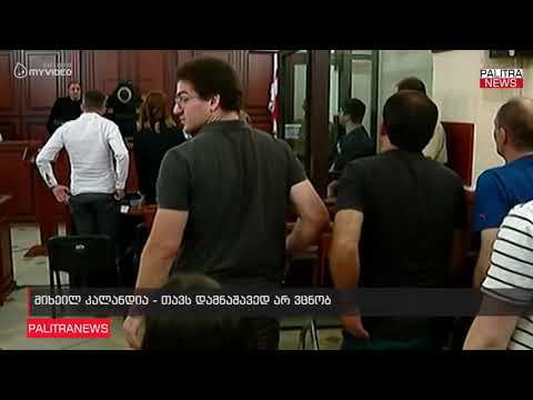 მიხეილ კალანდია - თავს დამნაშავედ არ ვცნობ
