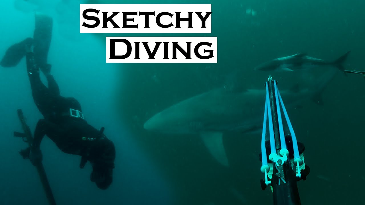 SKETCHY SPEARFISHING, FISHING with JOEY ANTONELLI!