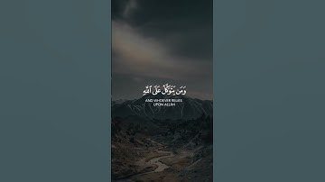 القارئ | احمد النفيس | دع أصابعك تشهد لك وأكتب ما تؤجر عليه 💬❤