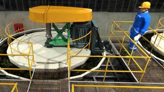 Celebrity CLOSE UP OF FLOTATION CELLS Profile