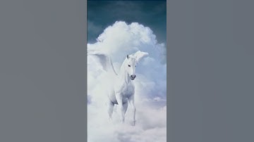 Evolution of the TriStar Logo