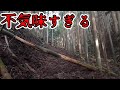 とにかく恐怖のオーラを感じた県道。もう絶対行きたくないわ…【和歌山県道181号下湯川金屋線】