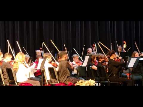 Alice Drive Middle School Beginner Orchestra Program 3