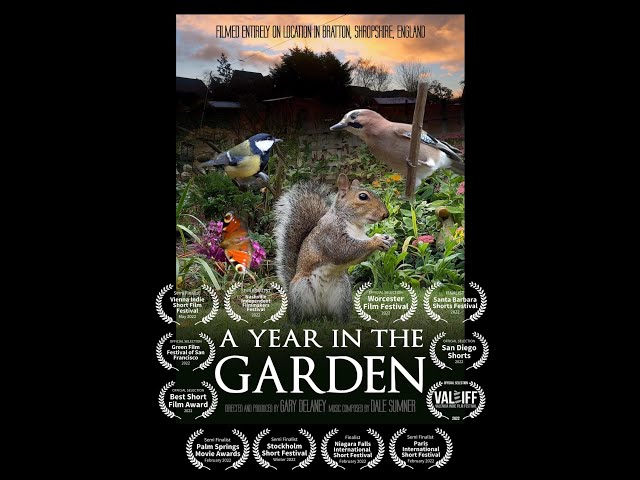 A Year in the Garden. British Birds & Wildlife. Award Winning short film. class=