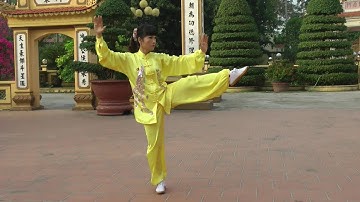 THÁI CỰC QUYỀN 42 THỨC HLV BÙI HỒNG HẢI