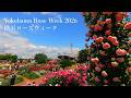 【Yokohama Rose Week 2026】Yamashita Park, Harbor View Park, and other locations