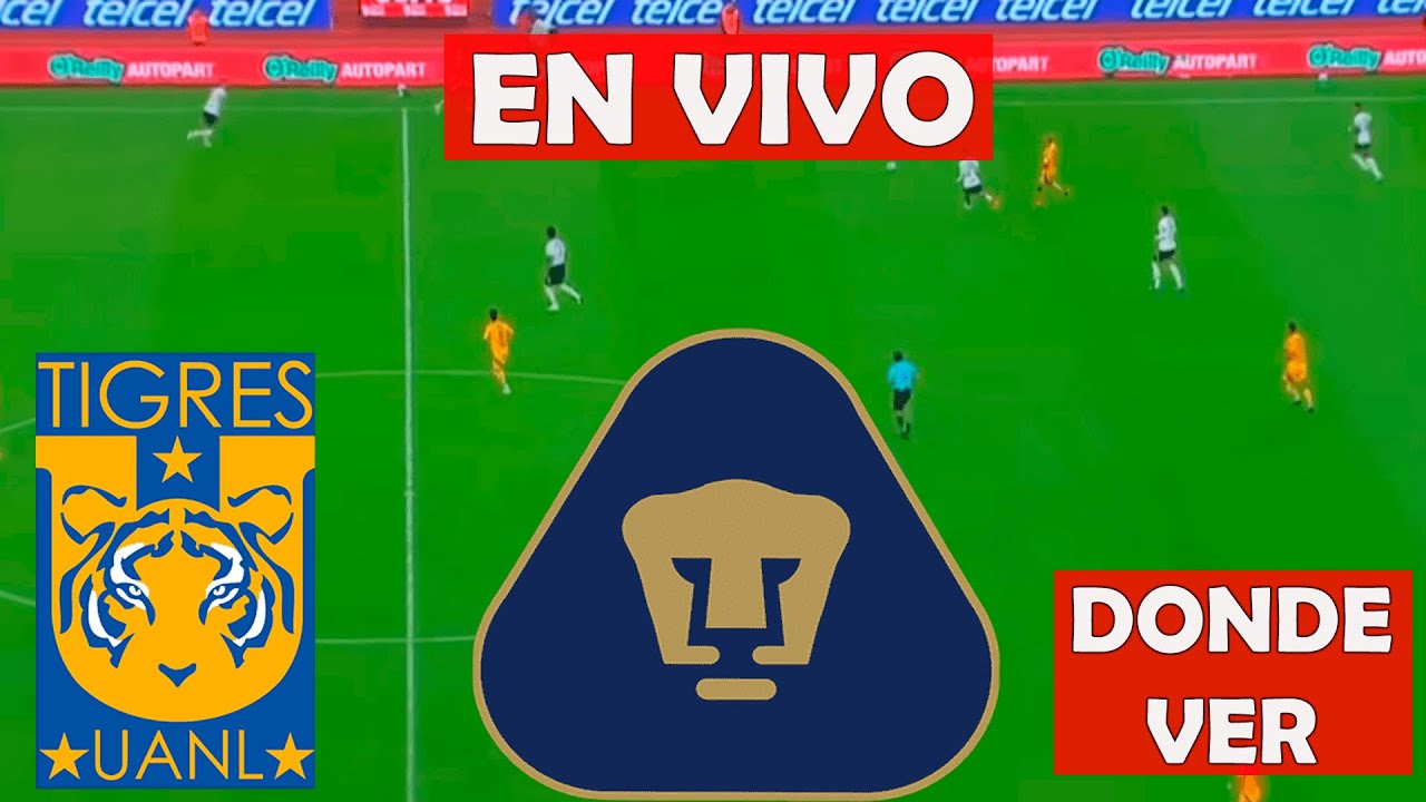 TIGRES VS PUMAS EN VIVO AMISTOSOS - LIGA MX 2025 | DONDE VER - YouTube
