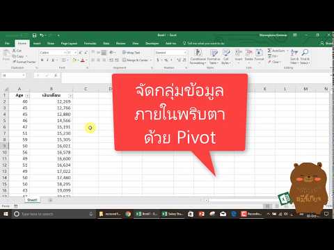 Excel จัดกลุ่มข้อมูลภายในพริบตาด้วย Pivot