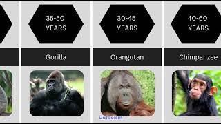 Life Span of Different Animals | Average age of Animals