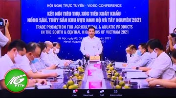 Kết nối tiêu thụ, xúc tiến xuất khẩu nông sản, thủy sản khu vực Nam bộ và Tây Nguyên 2021 | THKG