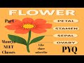 Morphology Previous year question practice NEET #botany #biology #mauryasir #neet #neetbiology