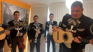 El mariachi los Tarascos de Rogelio Zavala  La gloria eres tú.