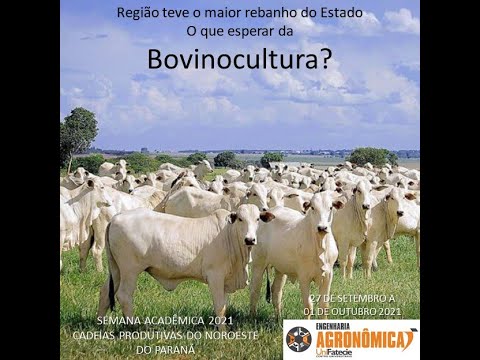 Semana Acadêmica 2021 - Cadeias produtivas do Noroeste do Paraná - Bovinocultura