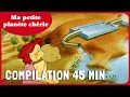 Ma petite plante chrie  compilation dessin anim ducatif 45 minutes  folikids 