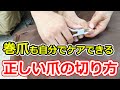 自分でできるフットケア！正しい爪の切り方＆巻爪の対処法！