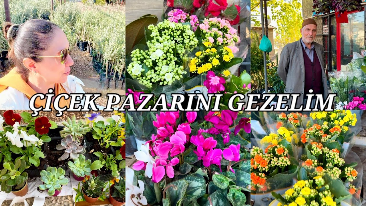 Fidan Pazarından Eşimin mezarı için çiçekler aldım💕#çiçekler#flowers#garden#nature