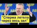 Нестареющая классика: Жириновский о походе в гей-клуб