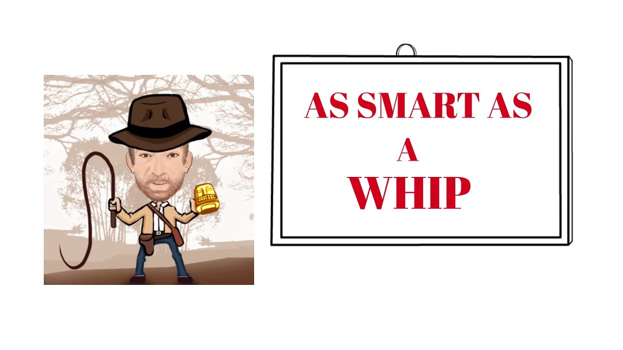 What Does Smart As A Whip Mean