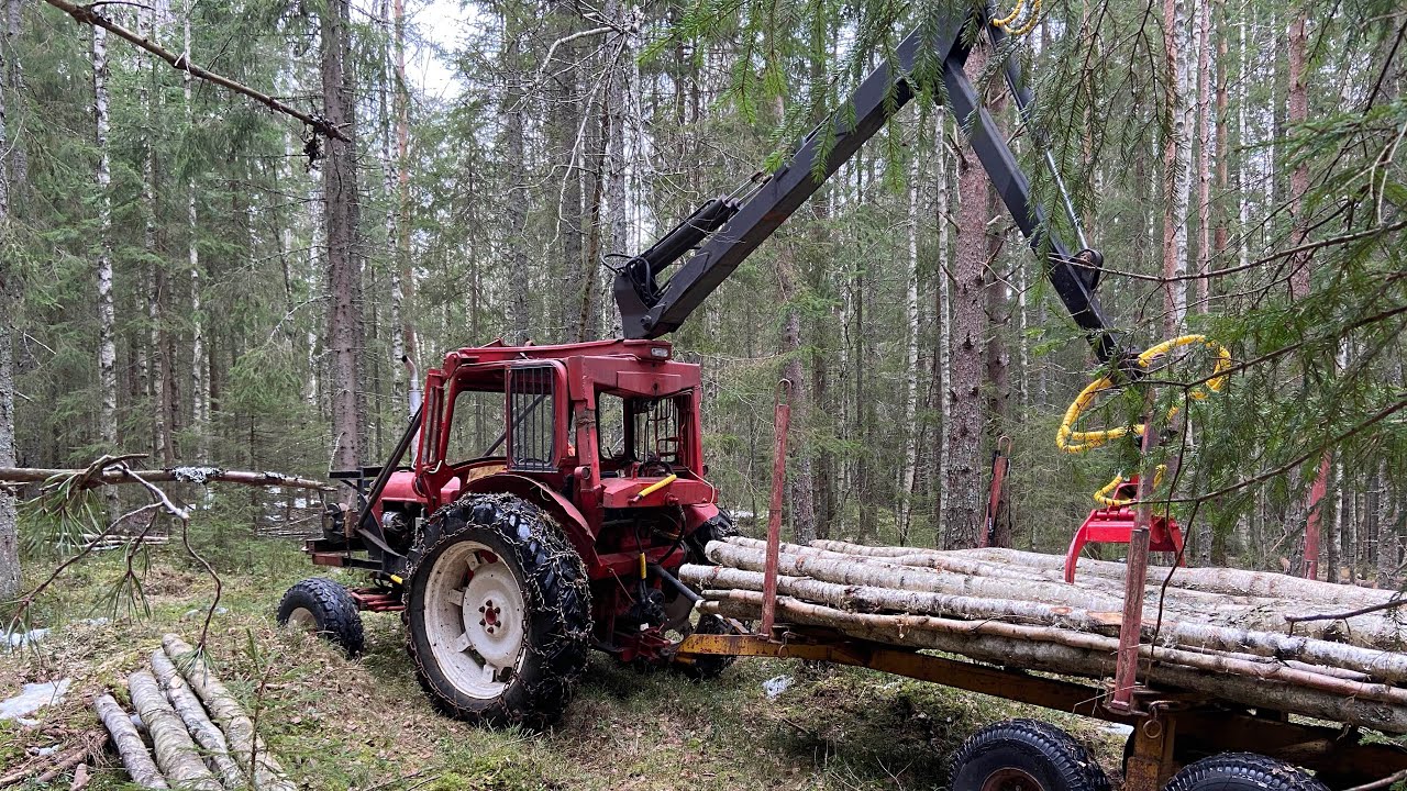Ett par dagar i skogsbruket.