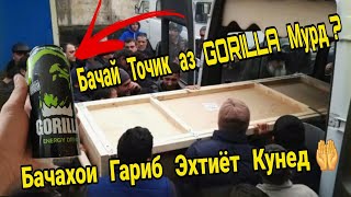 Срочно! Марги Бачаи Точик аз Gorilla Илтимос эхтиёт кунед! ( Хайри Мухочир )