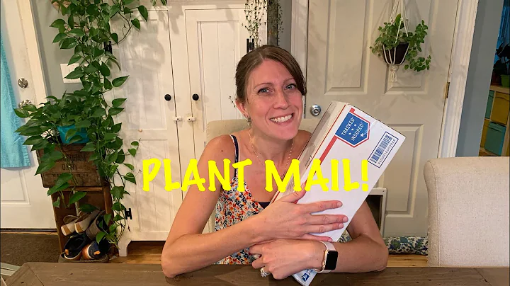 Discover the Green Surprise! Unboxing Unique Houseplants from Secret Garden Plants