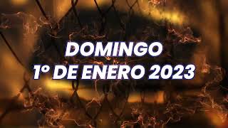 Sin Salida Lucha En Jaula