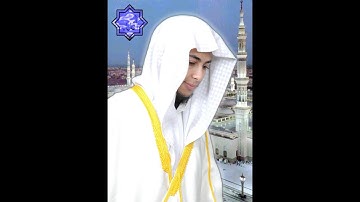 الشيخ أنس جلهوم سوره المنافقون