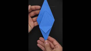 Origami Macaw Parrot