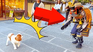 #32 SAMURAI Mannequin Prank in Kyoto Japan | Best Surprise Reactions Statue Prank Kiyomizu Temple