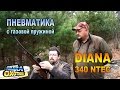 Diana NTEC: пневматика с газовой пружиной (ТВ-программа)