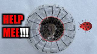 Ultimate DIY Mouse trap- capture footage! Mulitple catches