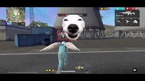 welcome to another video, you are waiting for even more crazy clips (free fire)