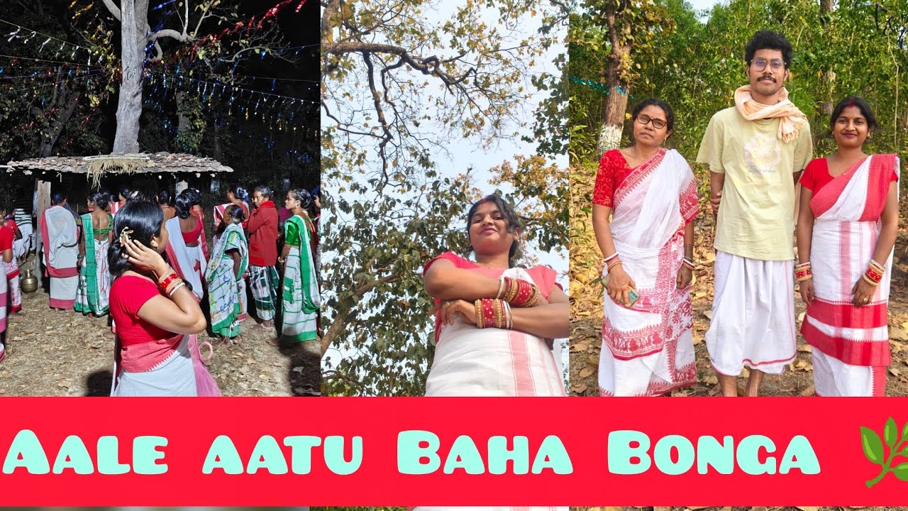 Aale Aatu Baha Bonga 🌲🌿🌼🌿🌲||#vlog #motivation