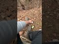 1800s Glass Dump Dig: Unearthing Rare Jadeite Treasure! #shorts