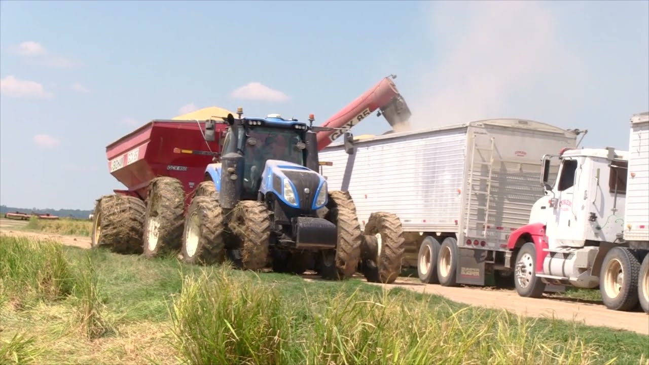 Producers Rice Mill Fall 2025 Crop Report with Jay Coker