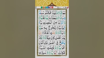 سورة النبا مكية