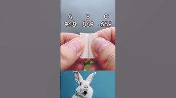 “Can You Guess The Number in 5 Seconds? 🔥 | Brain Challenge”#shorts #rabbit #bombastic #video