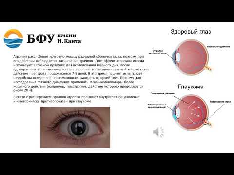 М холиноблокирующие вещества. Ганглиоблокаторы.Курареподобные