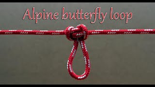 Alpine butterfly loop