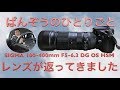 SIGMA100-400mm f5-6.3DG OS HSM・レンズが返ってきました・ぱんぞうのひとりごと