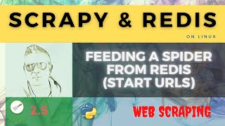 How To Read Scrapy Start URLs From Redis | Python Code