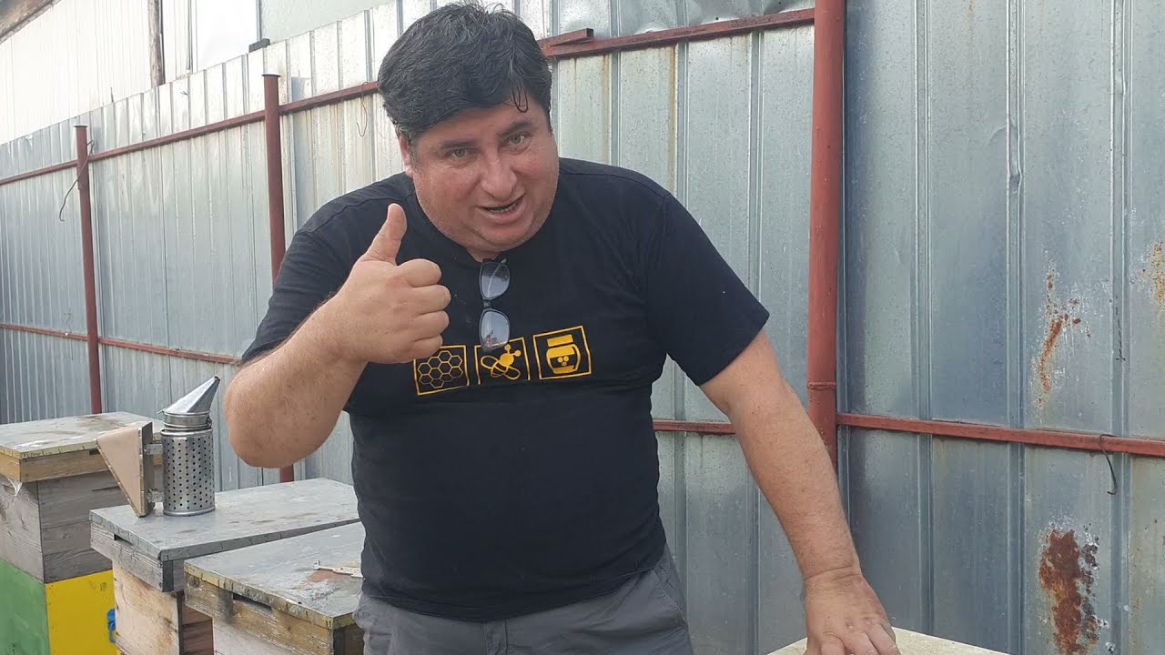 ATENTIE !  Cum scăpăm coloniile de albine  de puietul văros .