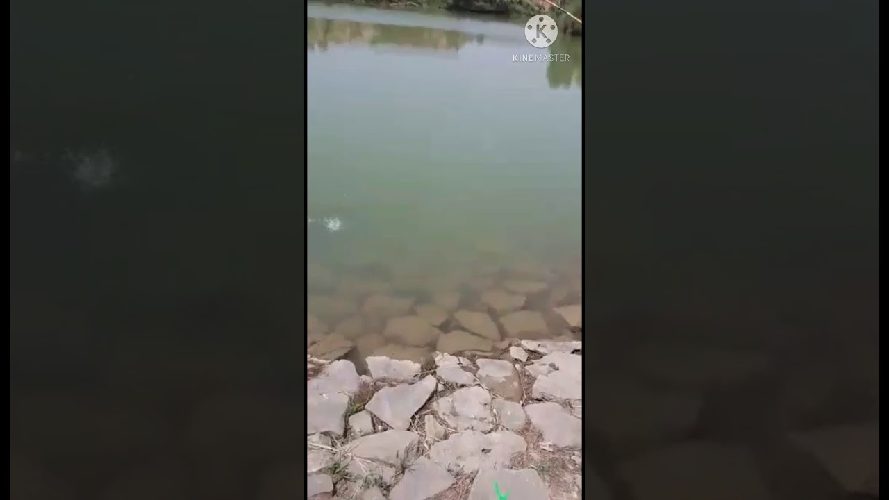 Tahir Bahi in Action Hunting Raho fish . راھو مچھلی