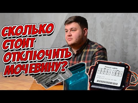 Сколько стоит отключить мочевину? #4