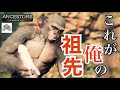 序盤を実況プレイ【ANCESTORS : THE HUMANKIND ODYSSEY】# 1この旅、なかなか骨が折れるぜ...