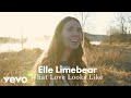 Elle Limebear - What Love Looks Like ((Single Version) [Official Music Video])
