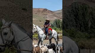 cayanta Neuquén #argentina #travel #turismo #viajes #patagonia #cayanta