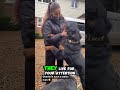 5 Things That Make a Rottweiler Super Happy! #shorts #dog