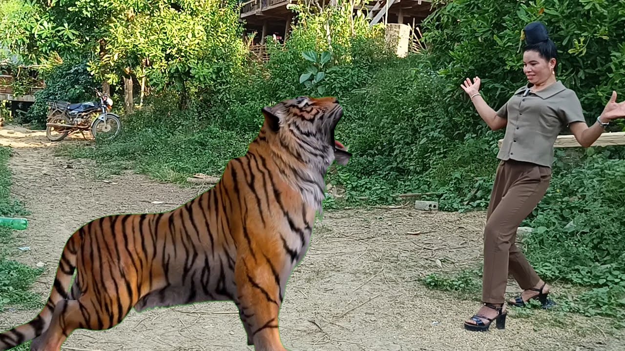 LÒ ĐIÊU NGẠC NHIÊN VỚI PHÉP THUẬT  CỦA VIỆT DÂN