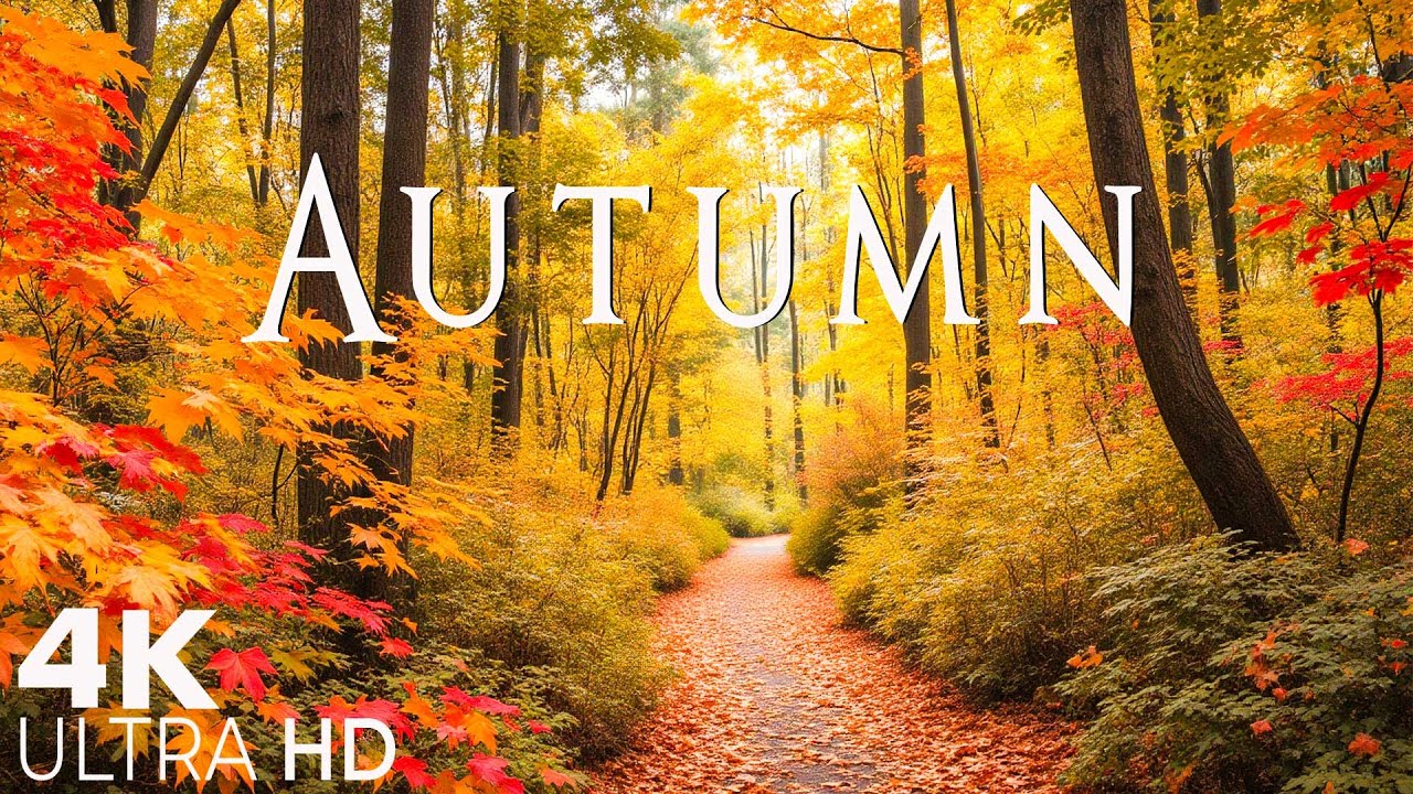 Relaxing Fall Foliage Video | Peaceful Autumn Nature with Calming Music ...